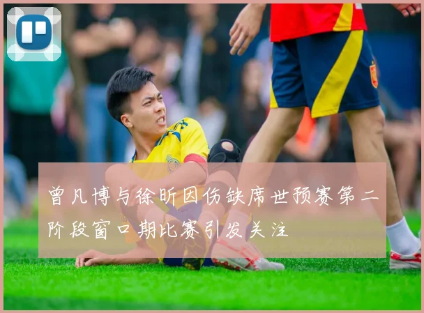 曾凡博与徐昕因伤缺席世预赛第二阶段窗口期比赛引发关注