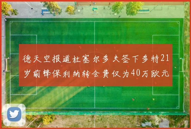 德天空报道杜塞尔多夫签下多特21岁前锋保利纳转会费仅为40万欧元